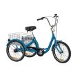 Gomier 2500 Series 20  Coaster (Footbrake) Adult Tricycle - Blue Cheap